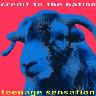 Teenage Sensation by Credit to the Nation