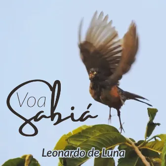 Voa Sabiá by Leonardo de Luna