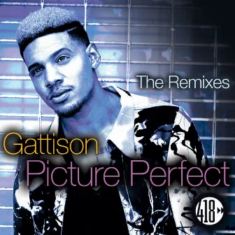 Picture Perfect (The Remixes) by Gattison