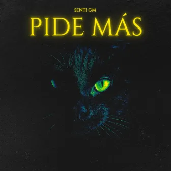 Pide Mas by Senti Gm