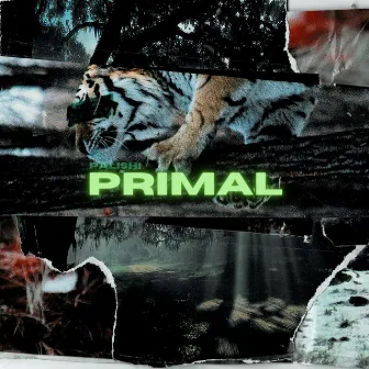 PRIMAL by Palishi