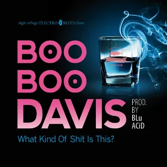 What Kind of Shit Is This? by Boo Boo Davis