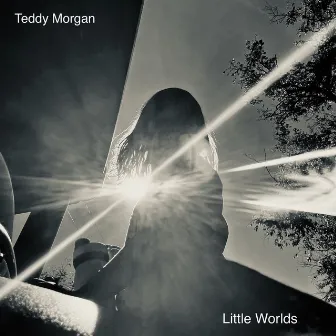 Little Worlds by Teddy Morgan