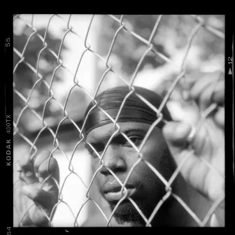 Fences by Jiles