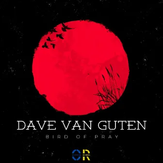 Bird of Pray by Dave Van Guten