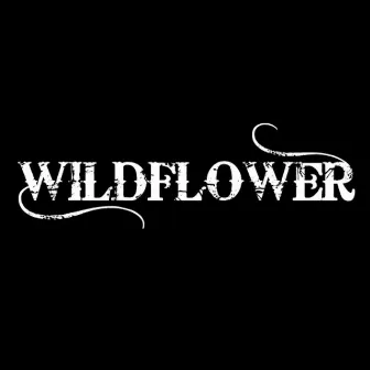 Acoustic EP by Wildflower