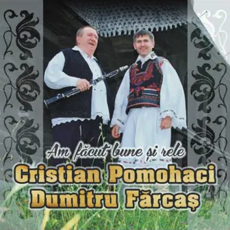 Am facut bune si rele by Dumitru Fărcaş