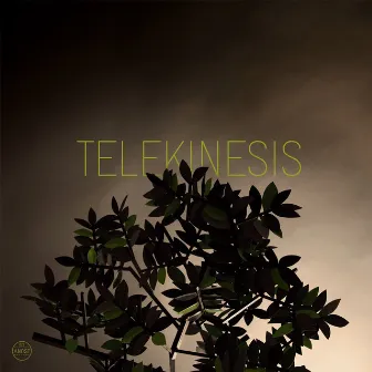 Please Ask For Help / Game Of Pricks (GBV Cover) by Telekinesis