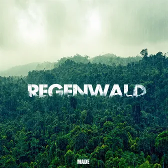 Regenwald by SCAPECHER