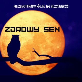 Zdrowy Sen – Muzykoterapia & Lek na Bezsenność by Muzyka Relaksacyjna do Snu