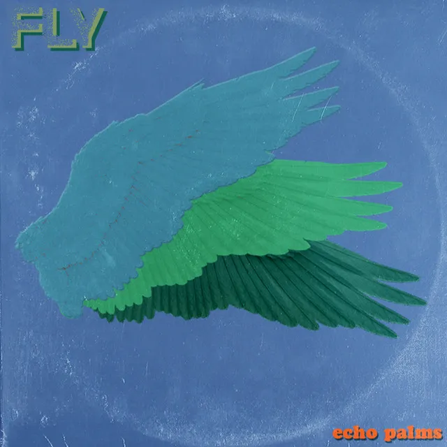 Fly