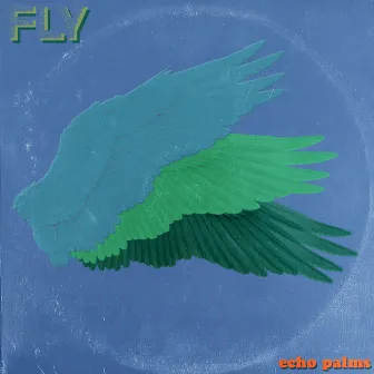 Fly by echo palms