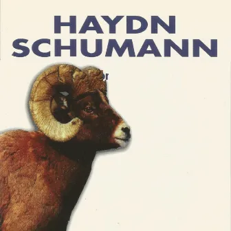 Haydn - Schumann by Zoltan Pesko