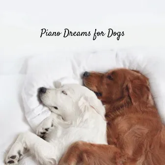 Piano Dreams for Dogs by Music For Your Dog