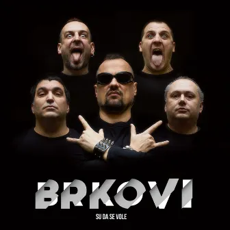 Brkovi su da se vole by Brkovi