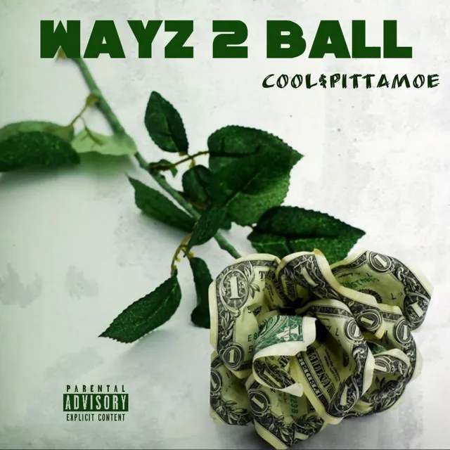 Wayz 2 Ball