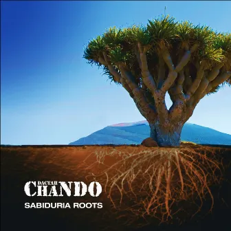 Sabiduria Roots by Dactah Chando