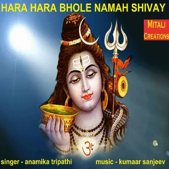 Hara Hara Bhole Namah Shivay by Anamika Tripathi