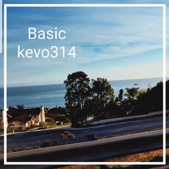 Basic by Kevo314