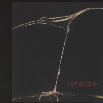 Nattergalen - Folkesang I Østerdalen by Eli Storbekken