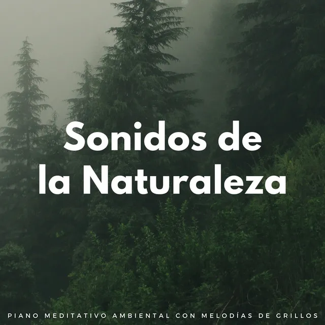 Sonidos De La Naturaleza: Piano Meditativo Ambiental Con Melodías De Grillos