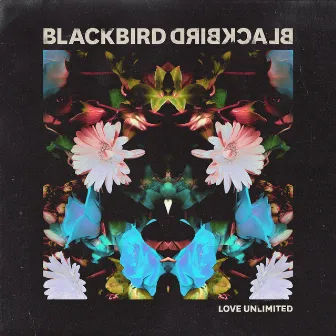 Love Unlimited by Blackbird Blackbird