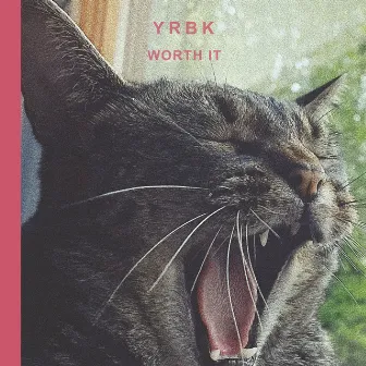 Worth It by Yrbk