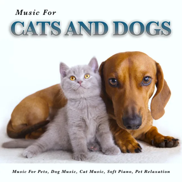 Music for Cats and Dogs