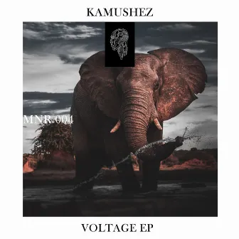 Voltage EP by KAMUSHEZ