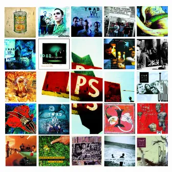 P.S. (a Toad retrospective) by Toad The Wet Sprocket