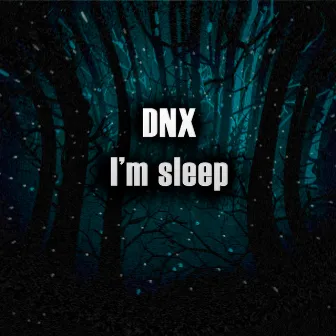 I'm Sleep by DNX