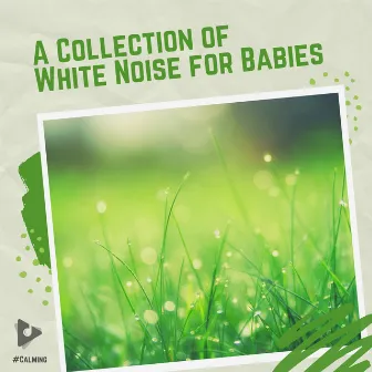 A Collection of White Noise for Babies by #Calming