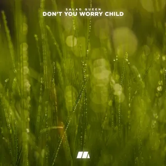 Don't You Worry Child by Salad Queen