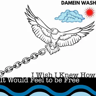 I Wish I Knew How It Would Feel to be Free by Damein Wash