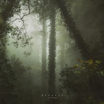 Forrest by n o r m a l