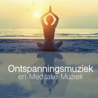 Ontspanningsmuziek en Meditatie Muziek - Rustgevende Muziek en Natuurgeluiden met Vogelgeluiden, Water en Regengeluiden voor Positief Denken, Relax en Slaap by Rustgevende Muziek Dream Masters