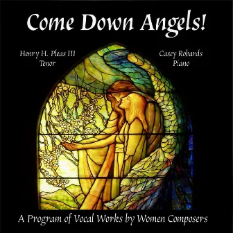 Come Down Angels! by Casey Robards