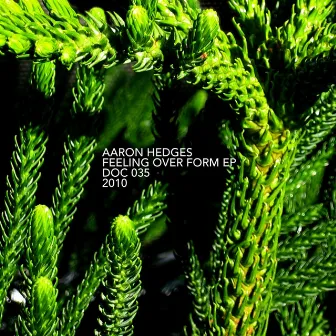 Feeling over Form EP by Aaron Hedges