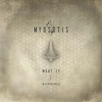 What If... (Instrumental) by Myosotis