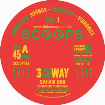 Safari Dub by Conscious Sounds