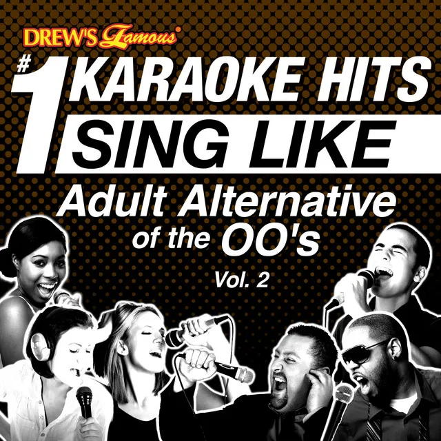 Drew's Famous #1 Karaoke Hits: Sing Like Adult Alternative of the 00's, Vol. 2