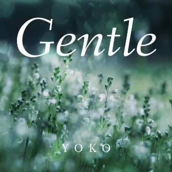 Gentle by YOKO