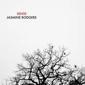 Sense by Jasmine Rodgers