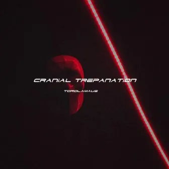 Cranial Trepanation by ToroLamaus