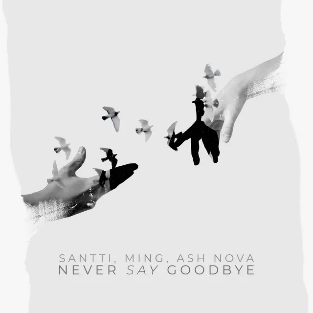 Never Say Goodbye