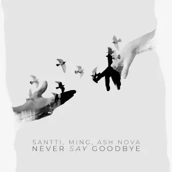 Never Say Goodbye by Ash Nova