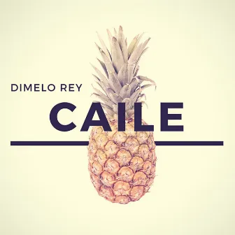 Caile (Radio Edit) by Dimelo Rey