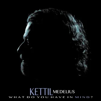 What Do You Have in Mind? by Kettil Medelius