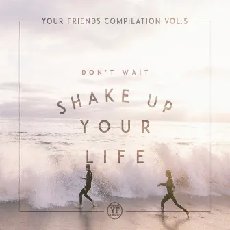 Your Friends Compilation vol 5 by YF Group