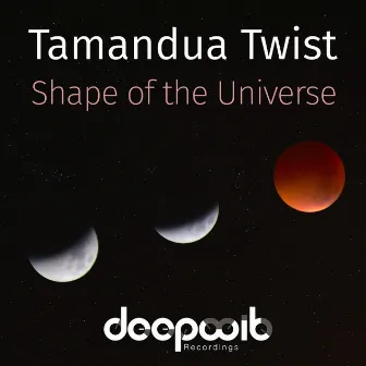 Shape of the Universe by Tamandua Twist